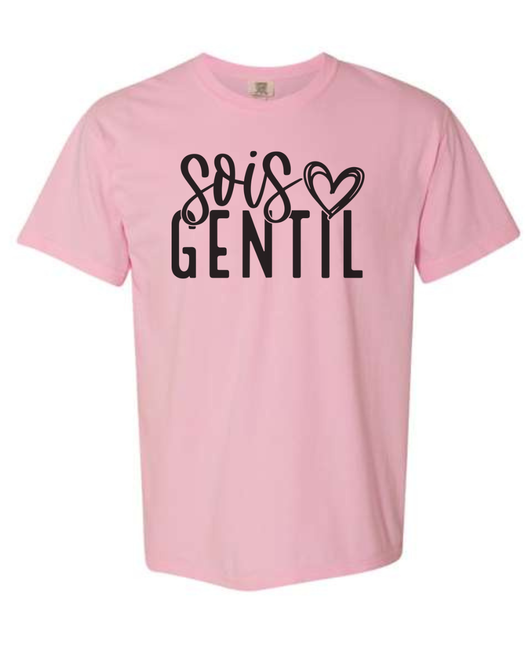 Pink Shirt Day Adult T's