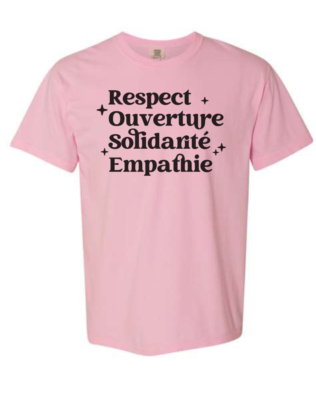 Pink Shirt Day Adult T's