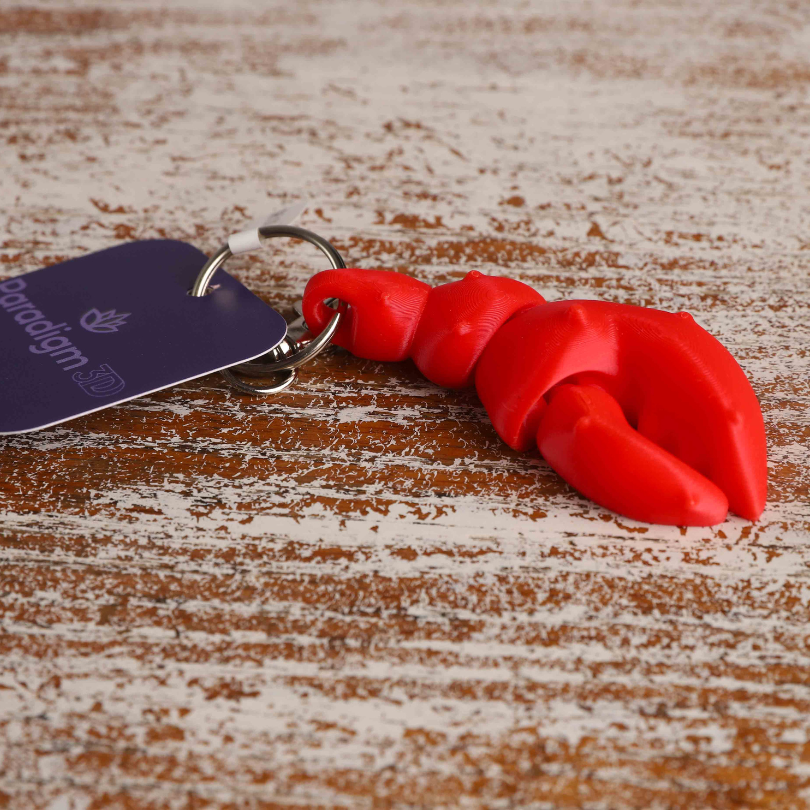 Lobster Claw Keychain